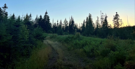 Land for Sale in Clearwater County, Idaho - image 8