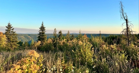 Land for Sale in Clearwater County, Idaho - image 2