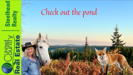 Land for Sale in Clearwater County, Idaho - image 1