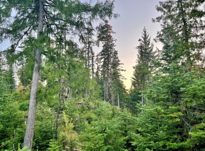 Land for Sale in Clearwater County, Idaho - image 15