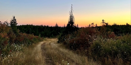 Land for Sale in Clearwater County, Idaho - image 19