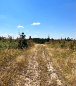 Land for Sale in Clearwater County, Idaho - image 21