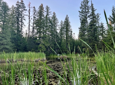 Land for Sale in Clearwater County, Idaho - image 11