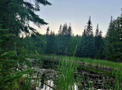 Land for Sale in Clearwater County, Idaho - image 14