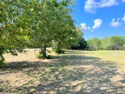 Acreage For Sale, Orange Grove, Tx, Jim Wells, Knolle Hills - image 3