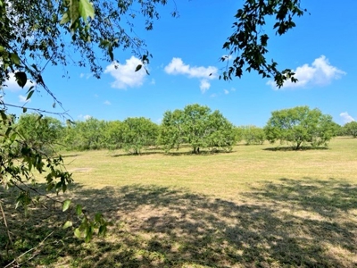Acreage For Sale, Orange Grove, Tx, Jim Wells, Knolle Hills - image 1