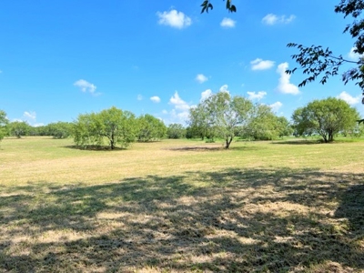 Acreage For Sale, Orange Grove, Tx, Jim Wells, Knolle Hills - image 2
