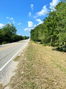 Acreage For Sale, Orange Grove, Tx, Jim Wells, Knolle Hills - image 5