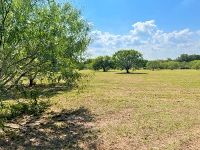 Acreage For Sale, Orange Grove, Tx, Jim Wells, Knolle Hills - image 4