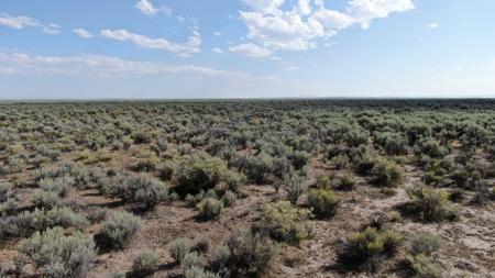 Eastern Oregon Acreage - image 1
