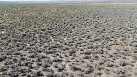 Eastern Oregon Acreage - image 4