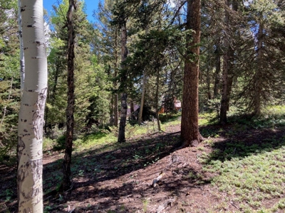 Mountain Lot For Sale In Cimarron, Colorado - image 9