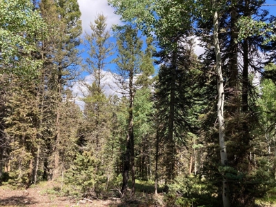 Mountain Lot For Sale In Cimarron, Colorado - image 14