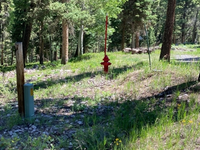 Mountain Lot For Sale In Cimarron, Colorado - image 5