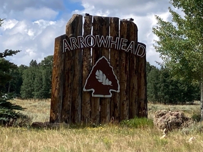 Mountain Lot For Sale In Cimarron, Colorado - image 4