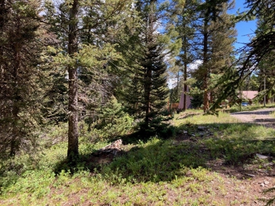 Mountain Lot For Sale In Cimarron, Colorado - image 8