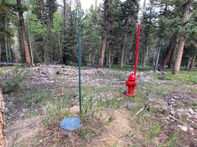 Mountain Lot For Sale In Cimarron, Colorado - image 13