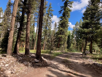 Mountain Lot For Sale In Cimarron, Colorado - image 1
