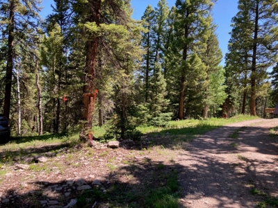 Mountain Lot For Sale In Cimarron, Colorado - image 2