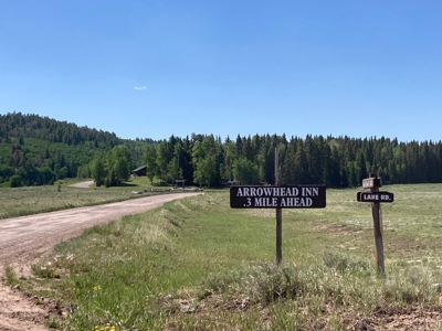 Mountain Lot For Sale In Cimarron, Colorado - image 26