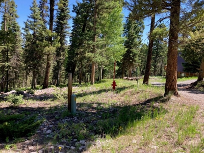 Mountain Lot For Sale In Cimarron, Colorado - image 11