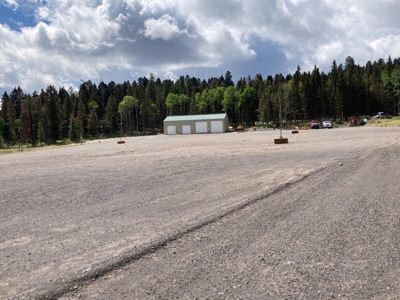 Mountain Lot For Sale In Cimarron, Colorado - image 21