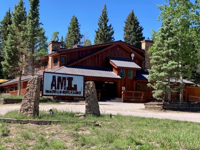 Mountain Lot For Sale In Cimarron, Colorado - image 27