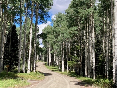 Mountain Lot For Sale In Cimarron, Colorado - image 5