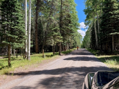Mountain Lot For Sale In Cimarron, Colorado - image 23