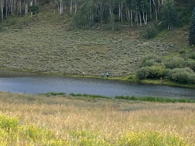 Mountain Lot For Sale In Cimarron, Colorado - image 22