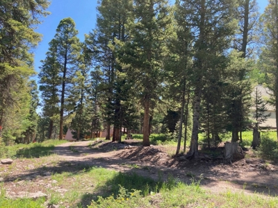 Mountain Lot For Sale In Cimarron, Colorado - image 12