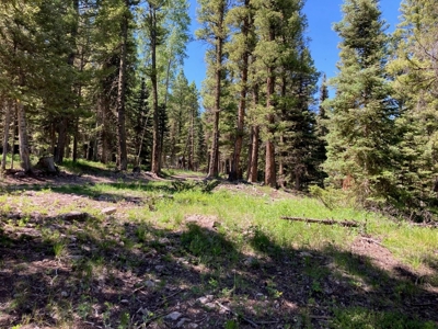 Mountain Lot For Sale In Cimarron, Colorado - image 14