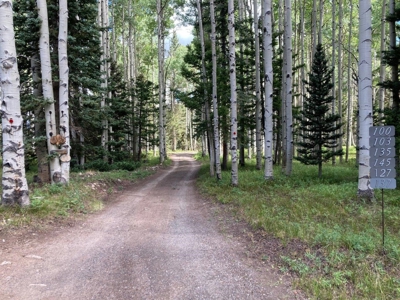 Mountain Lot For Sale In Cimarron, Colorado - image 6