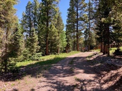 Mountain Lot For Sale In Cimarron, Colorado - image 13