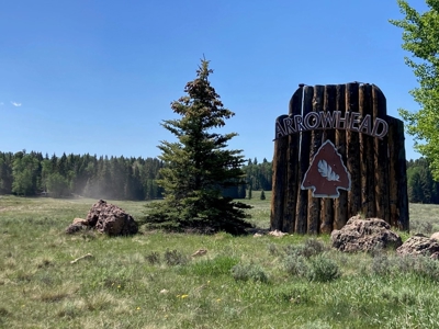 Mountain Lot For Sale In Cimarron, Colorado - image 25