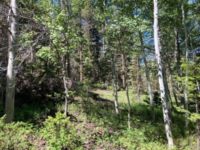 Mountain Lot For Sale In Cimarron, Colorado - image 1