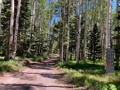 Mountain Lot For Sale In Cimarron, Colorado - image 3