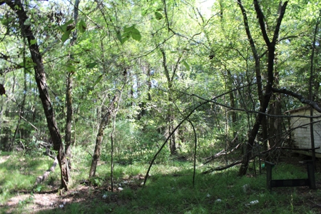 4 +/- Acres For Sale In Red River County, Tx - image 3