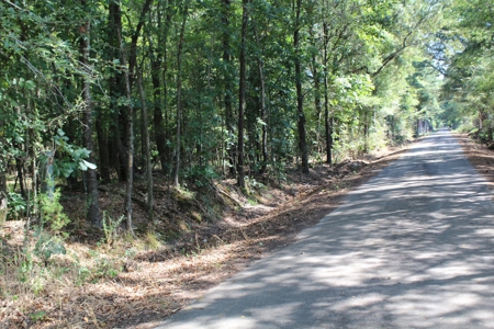 4 +/- Acres For Sale In Red River County, Tx - image 1