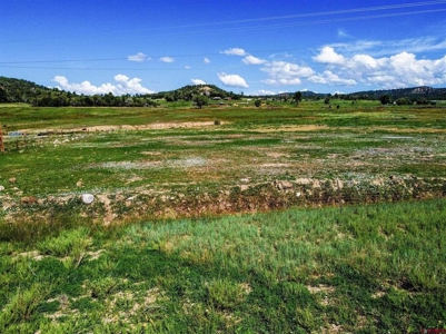 Multi-Use Acreage for Sale in Southeast Colorado! - image 5