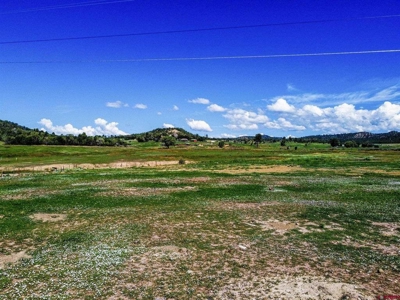Multi-Use Acreage for Sale in Southeast Colorado! - image 12