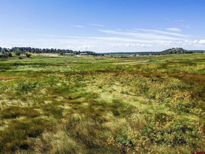 Multi-Use Acreage for Sale in Southeast Colorado! - image 1