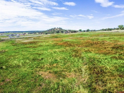 Discover Your Dream Property - No Covenants - Bayfield, CO! - image 12