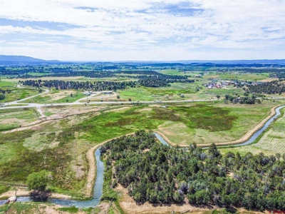 Discover Your Dream Property - No Covenants - Bayfield, CO! - image 5