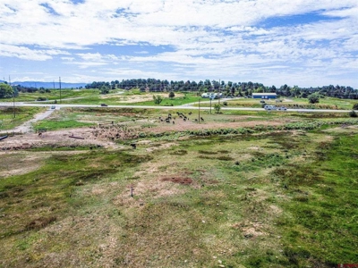Discover Your Dream Property - No Covenants - Bayfield, CO! - image 11