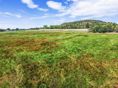 Discover Your Dream Property - No Covenants - Bayfield, CO! - image 10