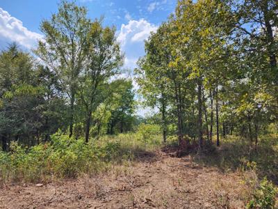 Winding Stair Mountain Home Site – National Forest Area - image 7