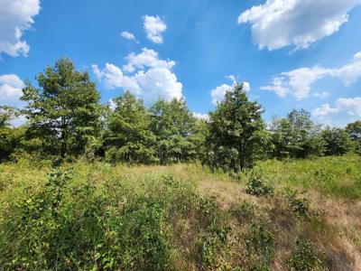 Winding Stair Mountain Home Site – National Forest Area - image 10