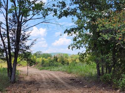 Winding Stair Mountain Home Site – National Forest Area - image 2