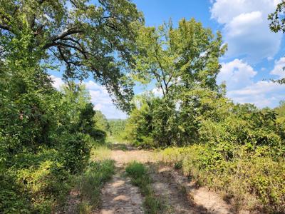 Winding Stair Mountain Home Site – National Forest Area - image 12